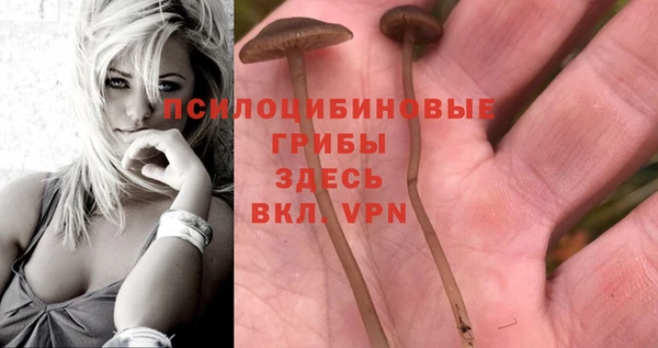 сатива Абаза