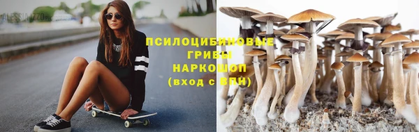 сатива Абаза