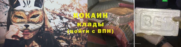 прущие грибы Абинск