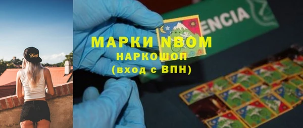 прущие грибы Абинск