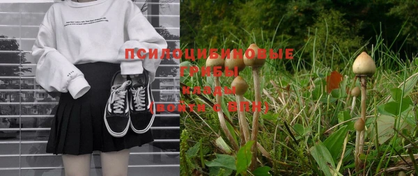 прущая мука Абдулино