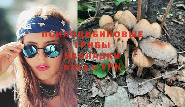 прущие грибы Абинск