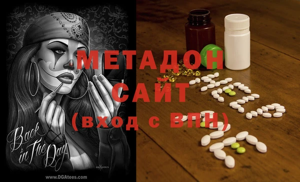 прущие грибы Абинск
