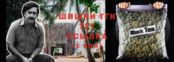сатива Абаза