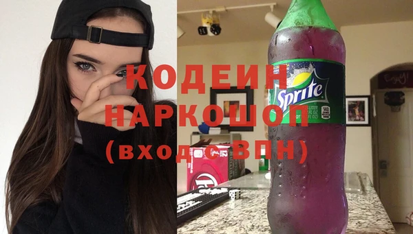 прущие грибы Абинск